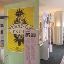 Black Queer Archives